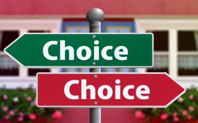 The Other Options involved in Reproductive Choice