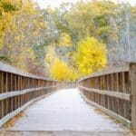 Leading with compassion in a divided world